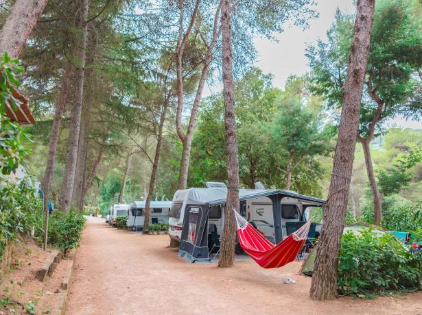 campinglepianacce en offer-for-a-weekend-on-a-camping-pitch-in-tuscany 016