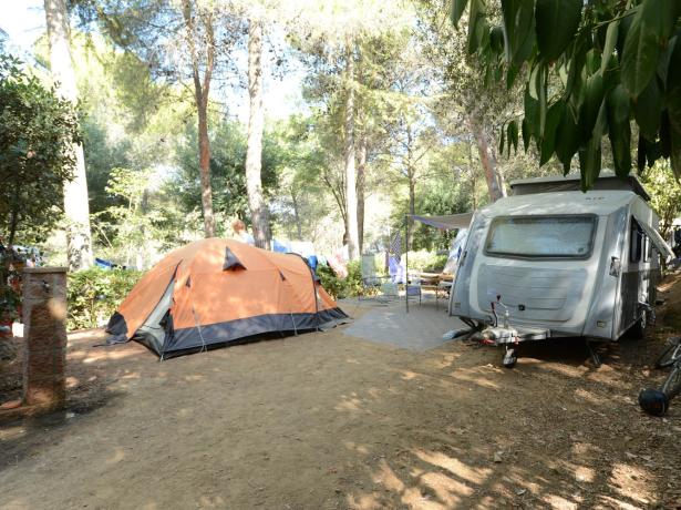 campinglepianacce en camping-holiday-in-tuscany-with-discounts 019